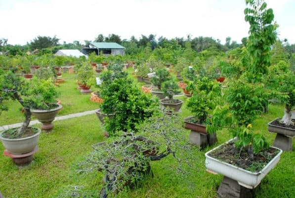 địa điểm du lịch nổi tiếng tại Thái Bình địa điểm du lịch nổi tiếng tại Thái Bình