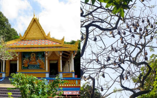 địa điểm du lịch nổi tiếng tại Sóc Trăng địa điểm du lịch nổi tiếng tại Sóc Trăng