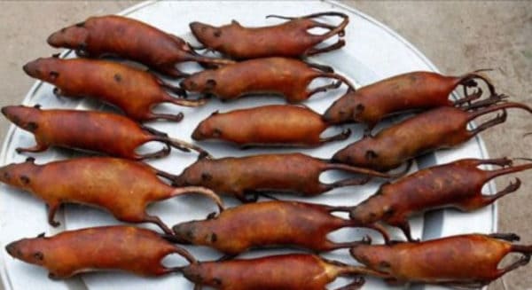 món ăn dân dã nhưng tuyệt ngon món ăn dân dã nhưng tuyệt ngon