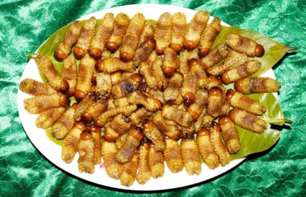 món ăn dân dã nhưng tuyệt ngon món ăn dân dã nhưng tuyệt ngon