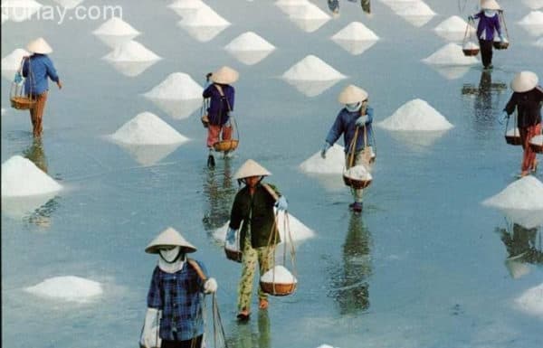 địa điểm du lịch nổi tiếng tai Quảng Ngãi địa điểm du lịch nổi tiếng tai Quảng Ngãi