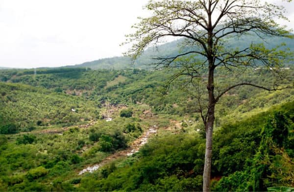 địa điểm du lịch nổi tiếng Tại Bình Phước địa điểm du lịch nổi tiếng Tại Bình Phước