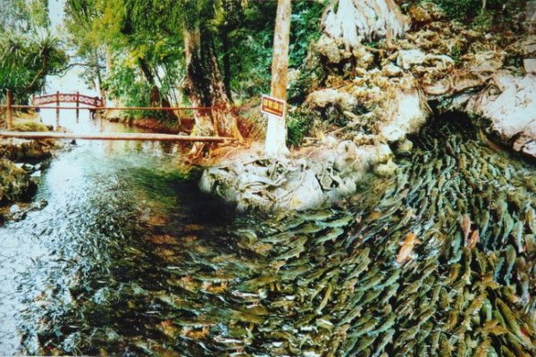 địa điểm du lịch tại Thanh Hóa địa điểm du lịch tại Thanh Hóa