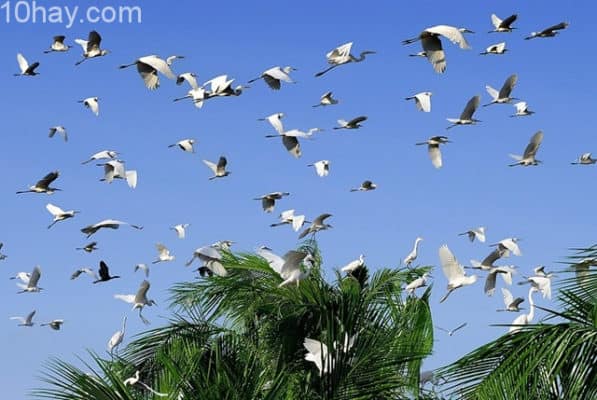 địa điểm du lịch nổi tiếng tại Sóc Trăng địa điểm du lịch nổi tiếng tại Sóc Trăng