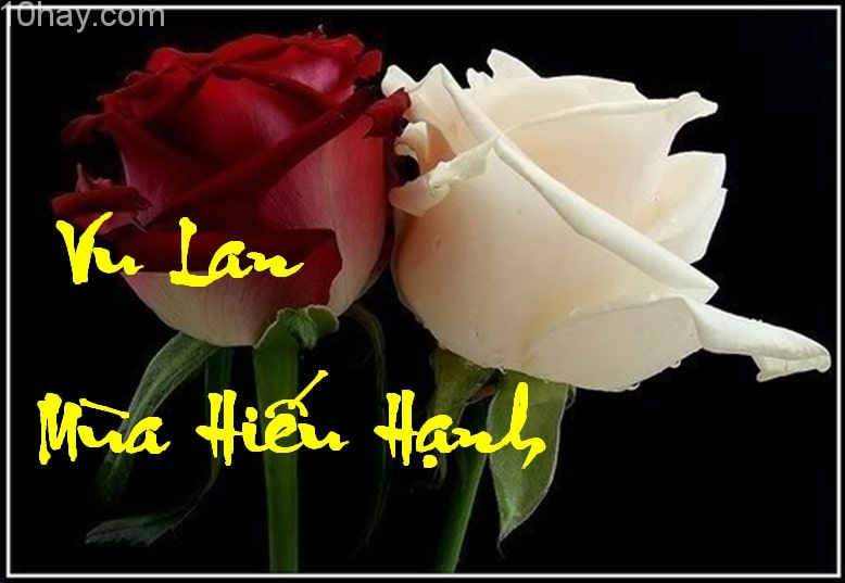 Ngày lễ vu lan 15/7 Ngày lễ vu lan 15/7