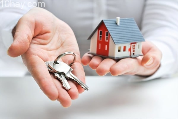 công ty môi giới bất động sản