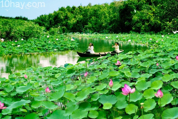 địa điểm du lịch nổi tiếng tại Tây Nam Bộ địa điểm du lịch nổi tiếng tại Tây Nam Bộ