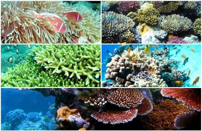 địa điểm du lịch nổi tiếng tại Kiên Giang địa điểm du lịch nổi tiếng tại Kiên Giang