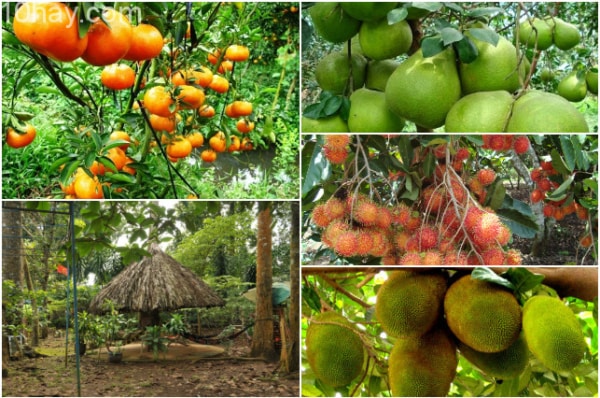 địa điểm du lịch nổi tiếng tại Tây Nam Bộ địa điểm du lịch nổi tiếng tại Tây Nam Bộ