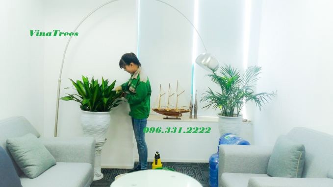 Công Ty Cổ Phần Đầu Tư Xây Dựng Và Môi Trường ViNaTrees