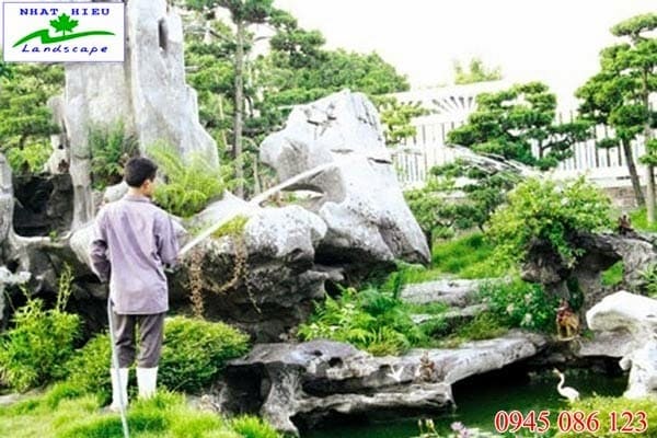 Công Ty TNHH Cây Cảnh Nhật Hiếu
