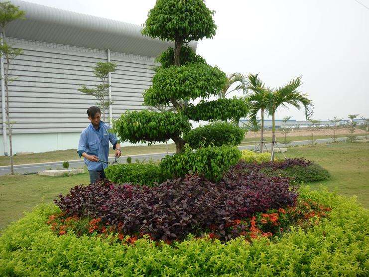 Công Ty Vệ Sinh Công Nghiệp Nhật An
