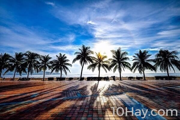 Top 10 công ty tổ chức tour du lịch giá rẻ tại Đà Nẵng
