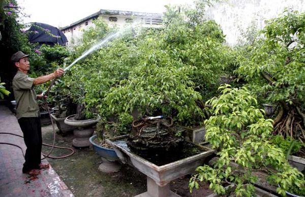 Công Ty Cổ Phần Vchoice Green