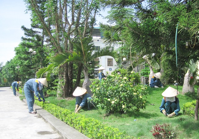 Công Ty TNHH Dịch Vụ Cây Xanh An Bình