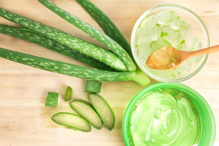 Trị mụn với nha đam